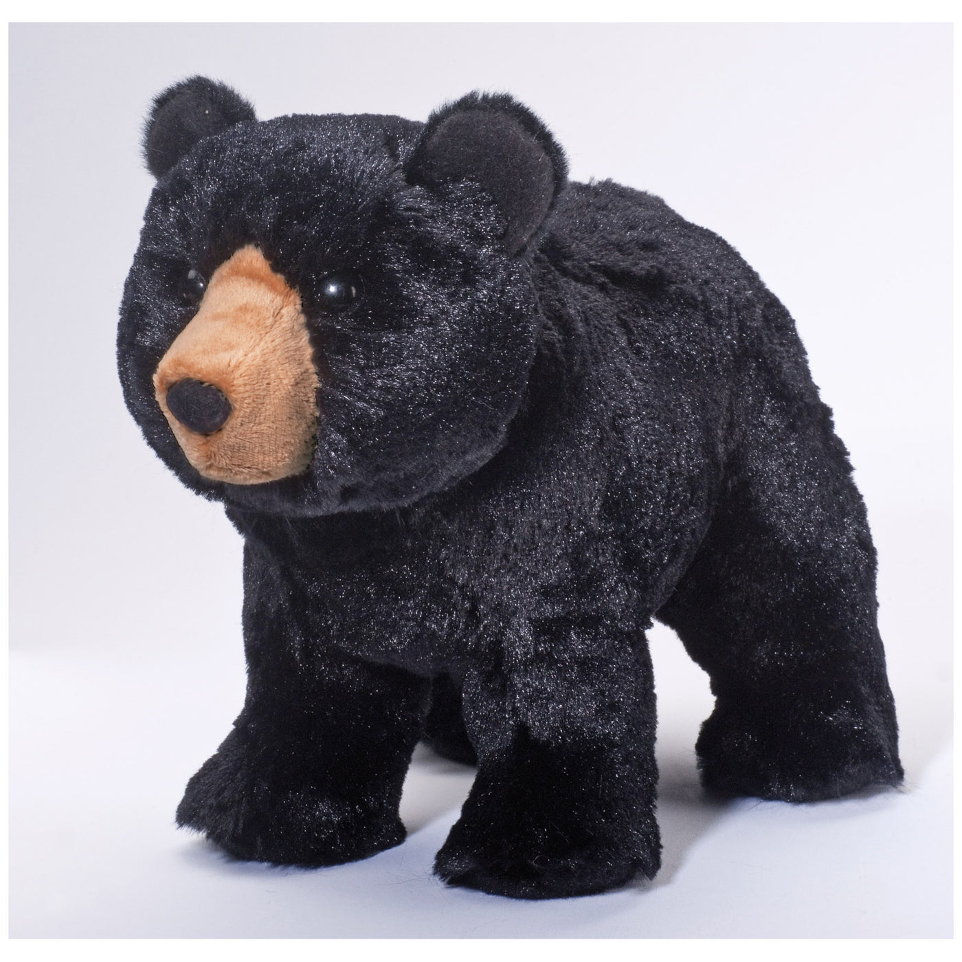 Orso Black Bear